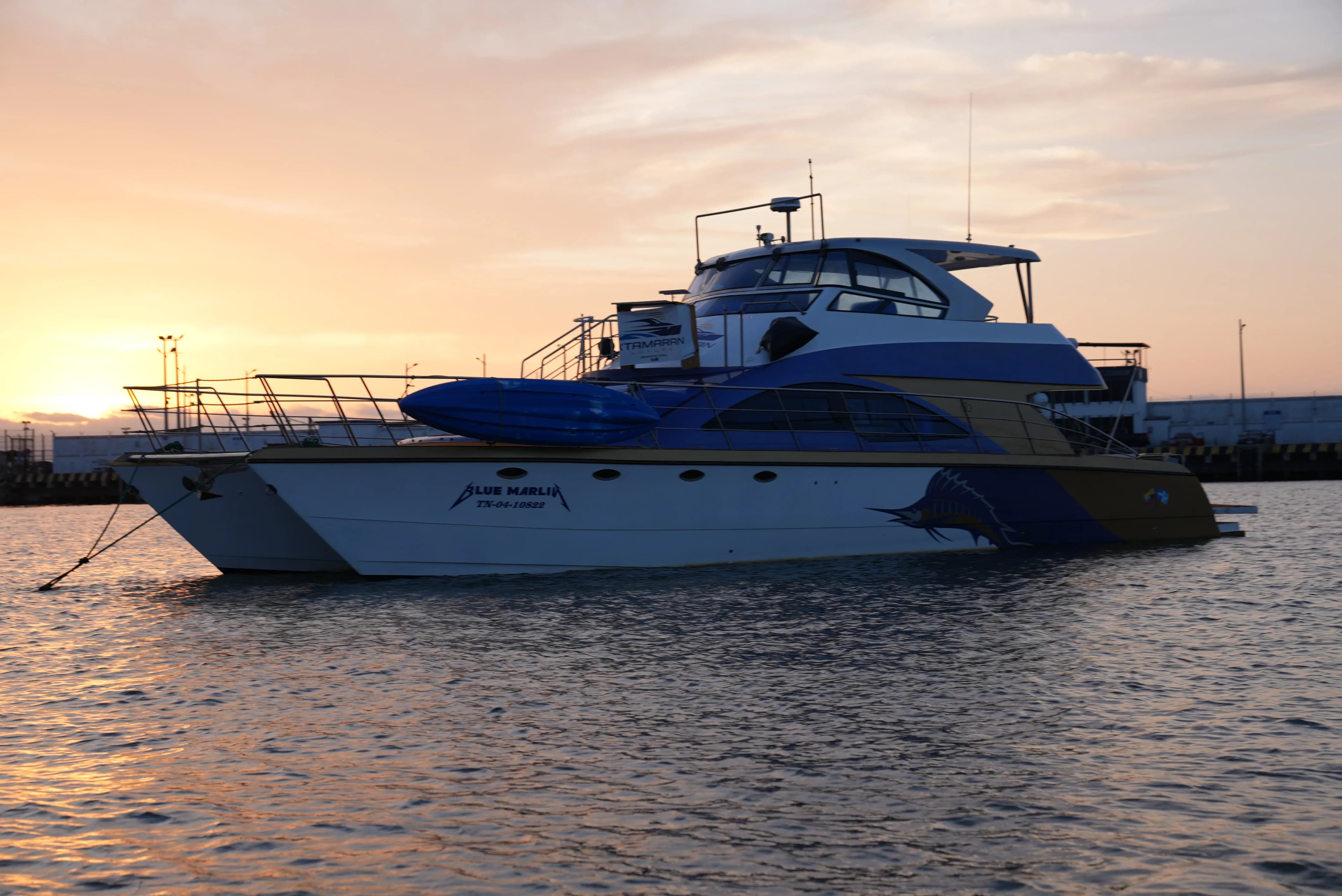 Blue Marlin al atardecer frente a la costa